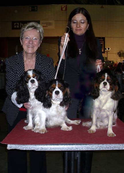 EURODOGSHOW KORTRIJK